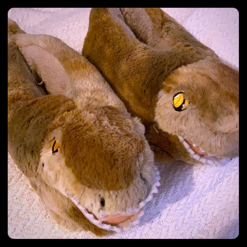 Build-a-bear dinosaur house shoes size 7-8